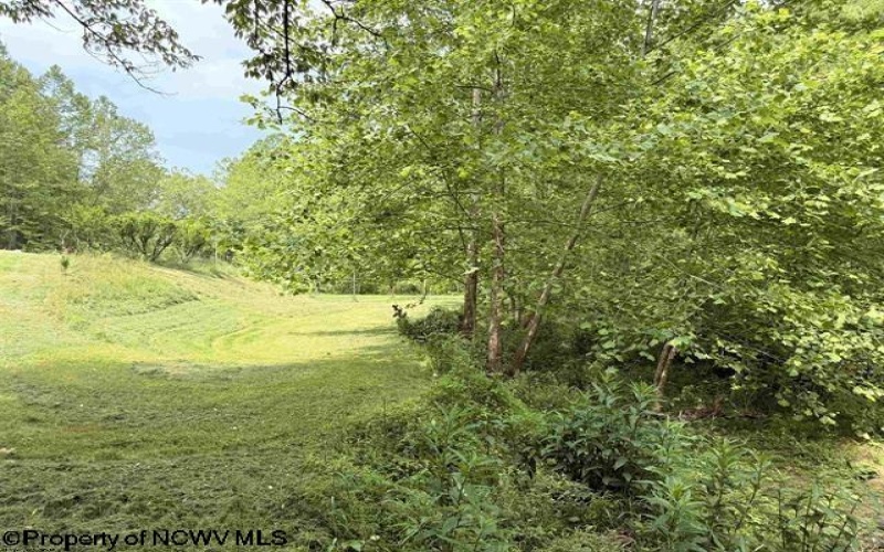 8557 Copley Road, Weston, West Virginia 26452, 0 , 0 ,0,Lots/land,For Sale,Copley,0,10165901
