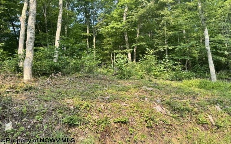TBD Wildwood Lake, Morgantown, West Virginia 26508, 0 , 0 ,0,Lots/land,For Sale,Wildwood,0,10165906