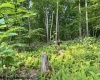 TBD Wildwood Lake, Morgantown, West Virginia 26508, 0 , 0 ,0,Lots/land,For Sale,Wildwood,0,10165906