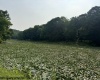 TBD Wildwood Lake, Morgantown, West Virginia 26508, 0 , 0 ,0,Lots/land,For Sale,Wildwood,0,10165906