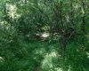 TBD Independence Road, Newburg, West Virginia 26410, 0 , 0 ,0,Lots/land,For Sale,Independence,0,10165909
