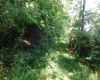 TBD Independence Road, Newburg, West Virginia 26410, 0 , 0 ,0,Lots/land,For Sale,Independence,0,10165909
