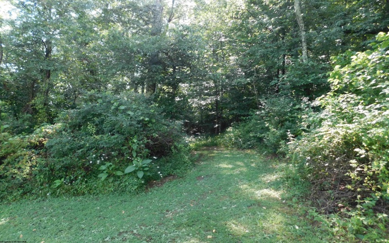 TBD Independence Road, Newburg, West Virginia 26410, 0 , 0 ,0,Lots/land,For Sale,Independence,0,10165909