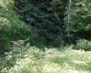 TBD Independence Road, Newburg, West Virginia 26410, 0 , 0 ,0,Lots/land,For Sale,Independence,0,10165909