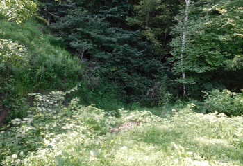 TBD Independence Road, Newburg, West Virginia 26410, 0 , 0 ,0,Lots/land,For Sale,Independence,0,10165909