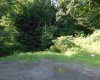 TBD Independence Road, Newburg, West Virginia 26410, 0 , 0 ,0,Lots/land,For Sale,Independence,0,10165909