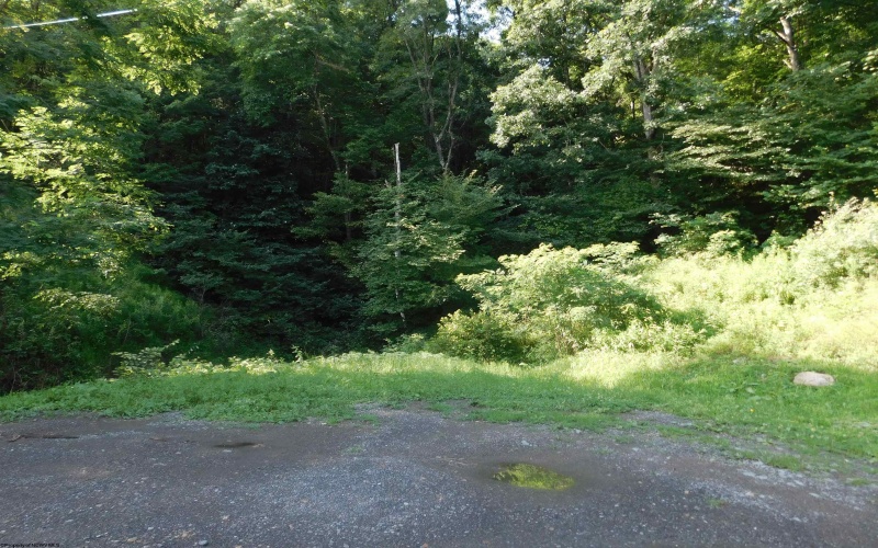 TBD Independence Road, Newburg, West Virginia 26410, 0 , 0 ,0,Lots/land,For Sale,Independence,0,10165909