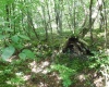 TBD Independence Road, Newburg, West Virginia 26410, 0 , 0 ,0,Lots/land,For Sale,Independence,0,10165909