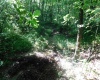 TBD Independence Road, Newburg, West Virginia 26410, 0 , 0 ,0,Lots/land,For Sale,Independence,0,10165909