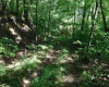TBD Independence Road, Newburg, West Virginia 26410, 0 , 0 ,0,Lots/land,For Sale,Independence,0,10165909