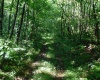 TBD Independence Road, Newburg, West Virginia 26410, 0 , 0 ,0,Lots/land,For Sale,Independence,0,10165909