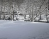 856 REMOVAL Road, Diana, West Virginia 26217, 4 Bedrooms Bedrooms, 11 Rooms Rooms,2 BathroomsBathrooms,Single Family Detached,For Sale,REMOVAL,0,10165896