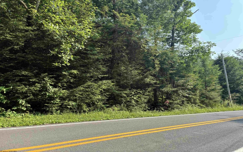Lot B Woolen Mills Road, Albright, West Virginia 26519, 0 , 0 ,0,Lots/land,For Sale,Woolen Mills,0,10165916