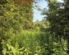 Lot B Woolen Mills Road, Albright, West Virginia 26519, 0 , 0 ,0,Lots/land,For Sale,Woolen Mills,0,10165916