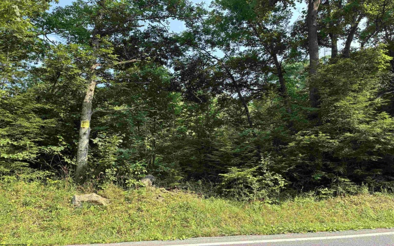 Lot B Woolen Mills Road, Albright, West Virginia 26519, 0 , 0 ,0,Lots/land,For Sale,Woolen Mills,0,10165916