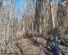 0 Coal River Road, St. Albans, West Virginia 25177, 0 , 0 ,0,Lots/land,For Sale,Coal River,0,10165922