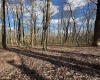 1870 Ludwig Road, Grafton, West Virginia 26354, 0 , 0 ,0,Lots/land,For Sale,Ludwig,0,10165943