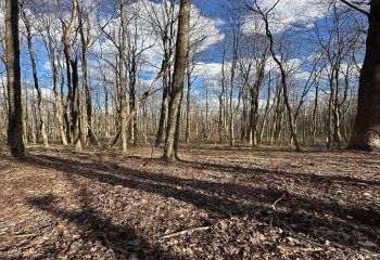 1870 Ludwig Road, Grafton, West Virginia 26354, 0 , 0 ,0,Lots/land,For Sale,Ludwig,0,10165943