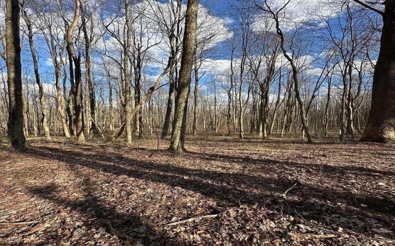 1870 Ludwig Road, Grafton, West Virginia 26354, 0 , 0 ,0,Lots/land,For Sale,Ludwig,0,10165943