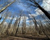 1870 Ludwig Road, Grafton, West Virginia 26354, 0 , 0 ,0,Lots/land,For Sale,Ludwig,0,10165943