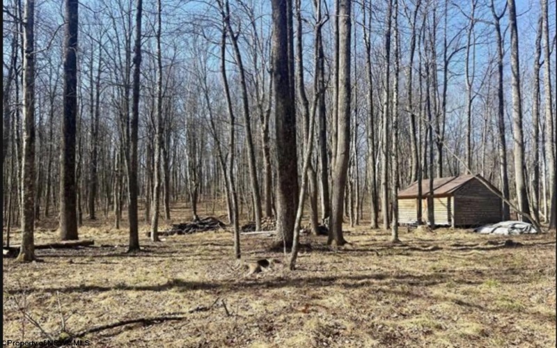 1870 Ludwig Road, Grafton, West Virginia 26354, 0 , 0 ,0,Lots/land,For Sale,Ludwig,0,10165943