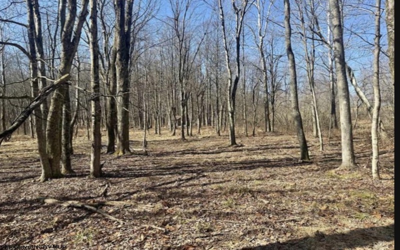 1870 Ludwig Road, Grafton, West Virginia 26354, 0 , 0 ,0,Lots/land,For Sale,Ludwig,0,10165943