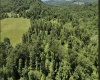 TBD Ices Run, Fairmont, West Virginia 26554, 0 , 0 ,0,Lots/land,For Sale,Ices,0,10165929 TBD Ices Run, Fairmont, West Virginia 26554, 0 , 0 ,0,Lots/land,For Sale,Ices,0,10165929
