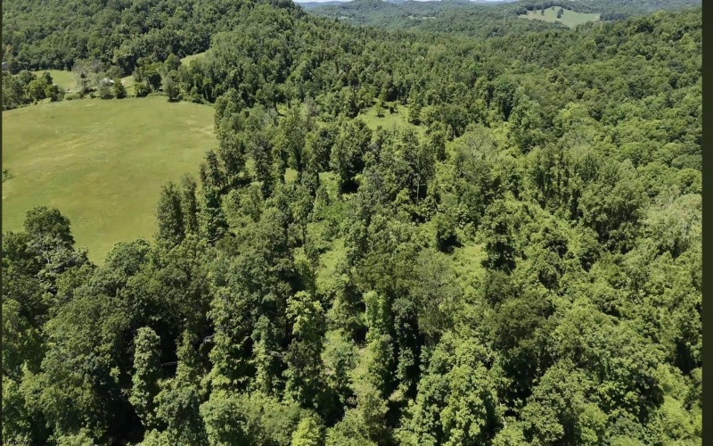 TBD Ices Run, Fairmont, West Virginia 26554, 0 , 0 ,0,Lots/land,For Sale,Ices,0,10165929 TBD Ices Run, Fairmont, West Virginia 26554, 0 , 0 ,0,Lots/land,For Sale,Ices,0,10165929