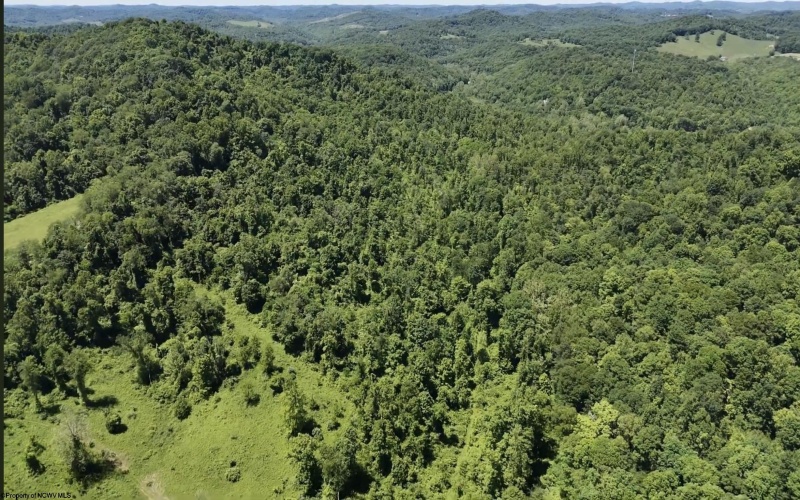 TBD Ices Run, Fairmont, West Virginia 26554, 0 , 0 ,0,Lots/land,For Sale,Ices,0,10165929 TBD Ices Run, Fairmont, West Virginia 26554, 0 , 0 ,0,Lots/land,For Sale,Ices,0,10165929
