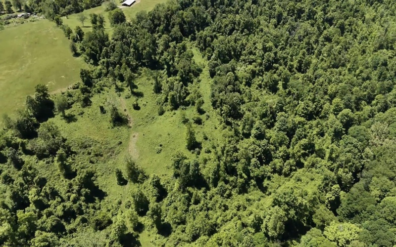 TBD Ices Run, Fairmont, West Virginia 26554, 0 , 0 ,0,Lots/land,For Sale,Ices,0,10165929 TBD Ices Run, Fairmont, West Virginia 26554, 0 , 0 ,0,Lots/land,For Sale,Ices,0,10165929