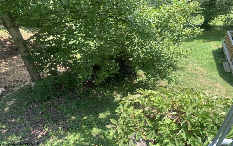 1036 Willey Street, Morgantown, West Virginia 26505, 0 , 0 ,0,Lots/land,For Sale,Willey,0,10144977