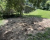 1036 Willey Street, Morgantown, West Virginia 26505, 0 , 0 ,0,Lots/land,For Sale,Willey,0,10144977