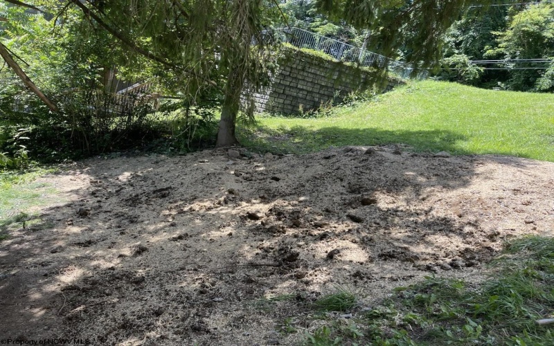 1036 Willey Street, Morgantown, West Virginia 26505, 0 , 0 ,0,Lots/land,For Sale,Willey,0,10144977