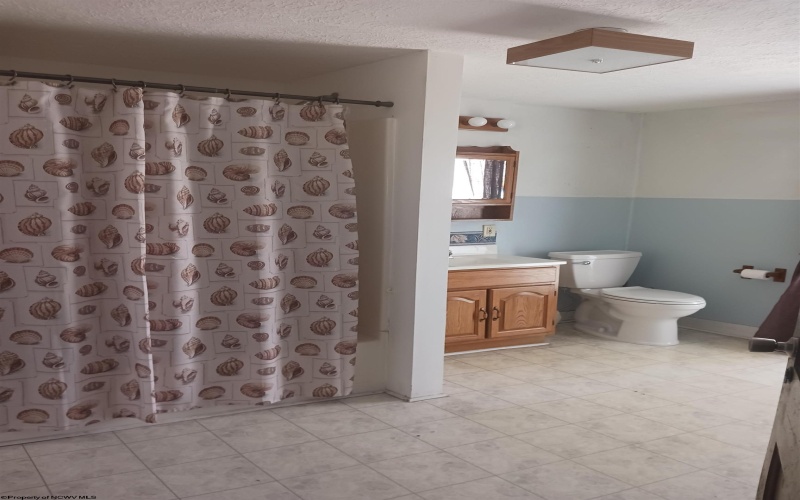 49 Lincoln Street, Buckhannon, West Virginia 26201, 3 Bedrooms Bedrooms, 9 Rooms Rooms,2 BathroomsBathrooms,Single Family Detached,For Sale,Lincoln,0,10165934