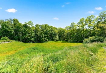 Lot 5 Laurel Run Pisgah Road, Bruceton Mills, West Virginia 26525, 0 , 0 ,0,Lots/land,For Sale,Laurel Run Pisgah,0,10165951