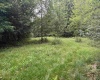 0 15 (RR), Valley Head, West Virginia 26294, 0 , 0 ,0,Lots/land,For Sale,15,0,10165968 0 15 (RR), Valley Head, West Virginia 26294, 0 , 0 ,0,Lots/land,For Sale,15,0,10165968