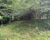 0 15 (RR), Valley Head, West Virginia 26294, 0 , 0 ,0,Lots/land,For Sale,15,0,10165968 0 15 (RR), Valley Head, West Virginia 26294, 0 , 0 ,0,Lots/land,For Sale,15,0,10165968