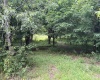 0 15 (RR), Valley Head, West Virginia 26294, 0 , 0 ,0,Lots/land,For Sale,15,0,10165968 0 15 (RR), Valley Head, West Virginia 26294, 0 , 0 ,0,Lots/land,For Sale,15,0,10165968
