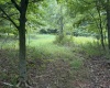 0 15 (RR), Valley Head, West Virginia 26294, 0 , 0 ,0,Lots/land,For Sale,15,0,10165968 0 15 (RR), Valley Head, West Virginia 26294, 0 , 0 ,0,Lots/land,For Sale,15,0,10165968