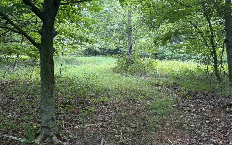 0 15 (RR), Valley Head, West Virginia 26294, 0 , 0 ,0,Lots/land,For Sale,15,0,10165968 0 15 (RR), Valley Head, West Virginia 26294, 0 , 0 ,0,Lots/land,For Sale,15,0,10165968