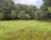 0 15 (RR), Valley Head, West Virginia 26294, 0 , 0 ,0,Lots/land,For Sale,15,0,10165968 0 15 (RR), Valley Head, West Virginia 26294, 0 , 0 ,0,Lots/land,For Sale,15,0,10165968