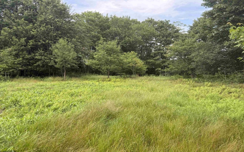 0 15 (RR), Valley Head, West Virginia 26294, 0 , 0 ,0,Lots/land,For Sale,15,0,10165968 0 15 (RR), Valley Head, West Virginia 26294, 0 , 0 ,0,Lots/land,For Sale,15,0,10165968
