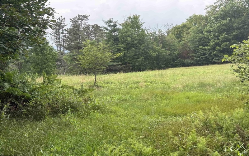 0 15 (RR), Valley Head, West Virginia 26294, 0 , 0 ,0,Lots/land,For Sale,15,0,10165968 0 15 (RR), Valley Head, West Virginia 26294, 0 , 0 ,0,Lots/land,For Sale,15,0,10165968