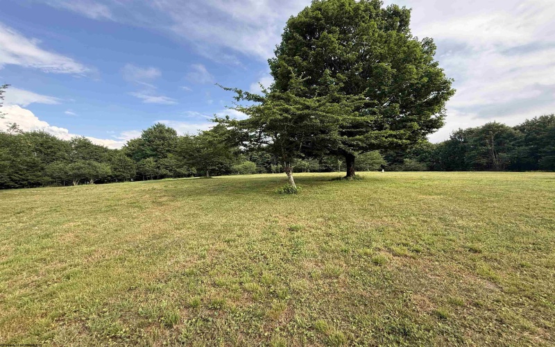 0 15 (RR), Valley Head, West Virginia 26294, 0 , 0 ,0,Lots/land,For Sale,15,0,10165968 0 15 (RR), Valley Head, West Virginia 26294, 0 , 0 ,0,Lots/land,For Sale,15,0,10165968