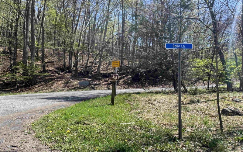 60 Black Bear Lane, Dryfork, West Virginia 26263, 1 Bedroom Bedrooms, 4 Rooms Rooms,1 BathroomBathrooms,Single Family Detached,For Sale,Black Bear,0,10163014 60 Black Bear Lane, Dryfork, West Virginia 26263, 1 Bedroom Bedrooms, 4 Rooms Rooms,1 BathroomBathrooms,Single Family Detached,For Sale,Black Bear,0,10163014