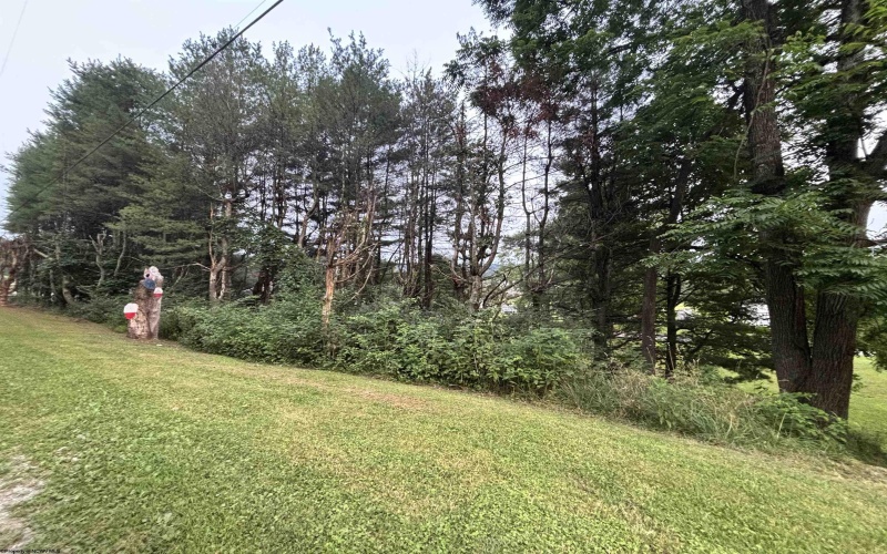 222 Lee Street, Belington, West Virginia 26250, 4 Bedrooms Bedrooms, 8 Rooms Rooms,3 BathroomsBathrooms,Single Family Detached,For Sale,Lee,0,10165955
