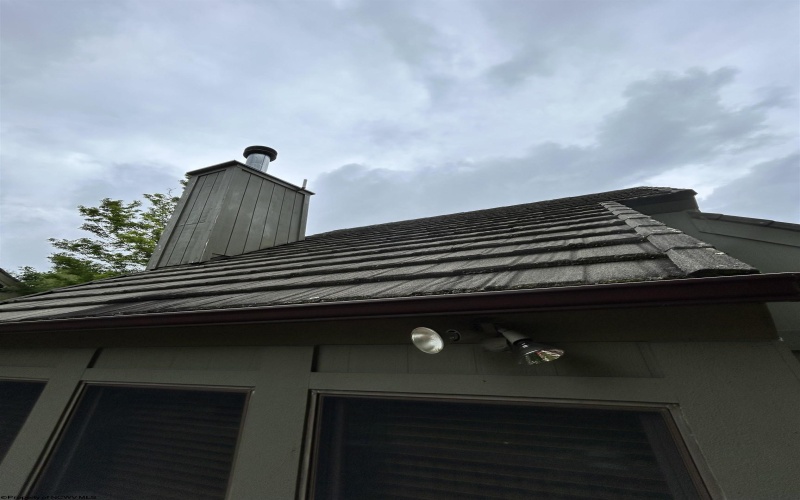 26 Whitetail Way, Davis, West Virginia 26260, 2 Bedrooms Bedrooms, 5 Rooms Rooms,2 BathroomsBathrooms,Single Family Detached,For Sale,Whitetail,0,10165972