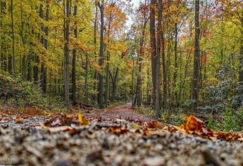 Lot 21 Snake Hill Road, Morgantown, West Virginia 26508, 0 , 0 ,0,Lots/land,For Sale,Snake Hill,0,10160384