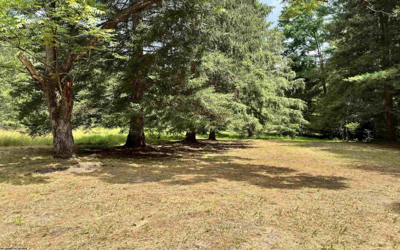 1735 Heavner Grove Road, Buckhannon, West Virginia 26201, 2 Bedrooms Bedrooms, 4 Rooms Rooms,1 BathroomBathrooms,Single Family Detached,For Sale,Heavner Grove,0,10165980
