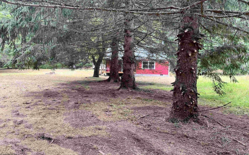 1735 Heavner Grove Road, Buckhannon, West Virginia 26201, 2 Bedrooms Bedrooms, 4 Rooms Rooms,1 BathroomBathrooms,Single Family Detached,For Sale,Heavner Grove,0,10165980